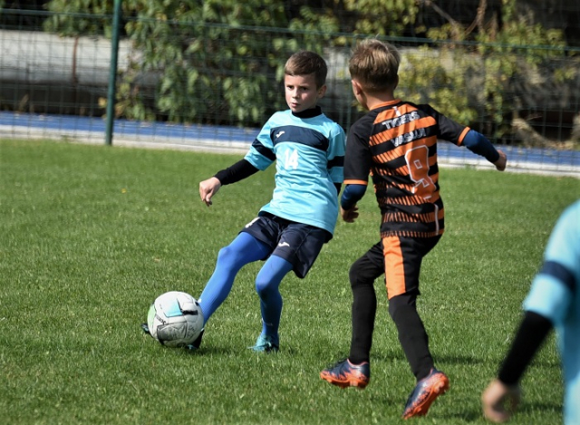 interliga1