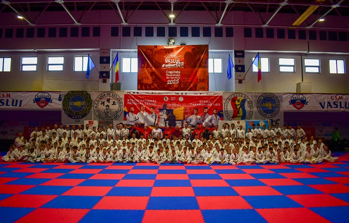 taekwondo