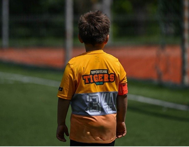 tigers