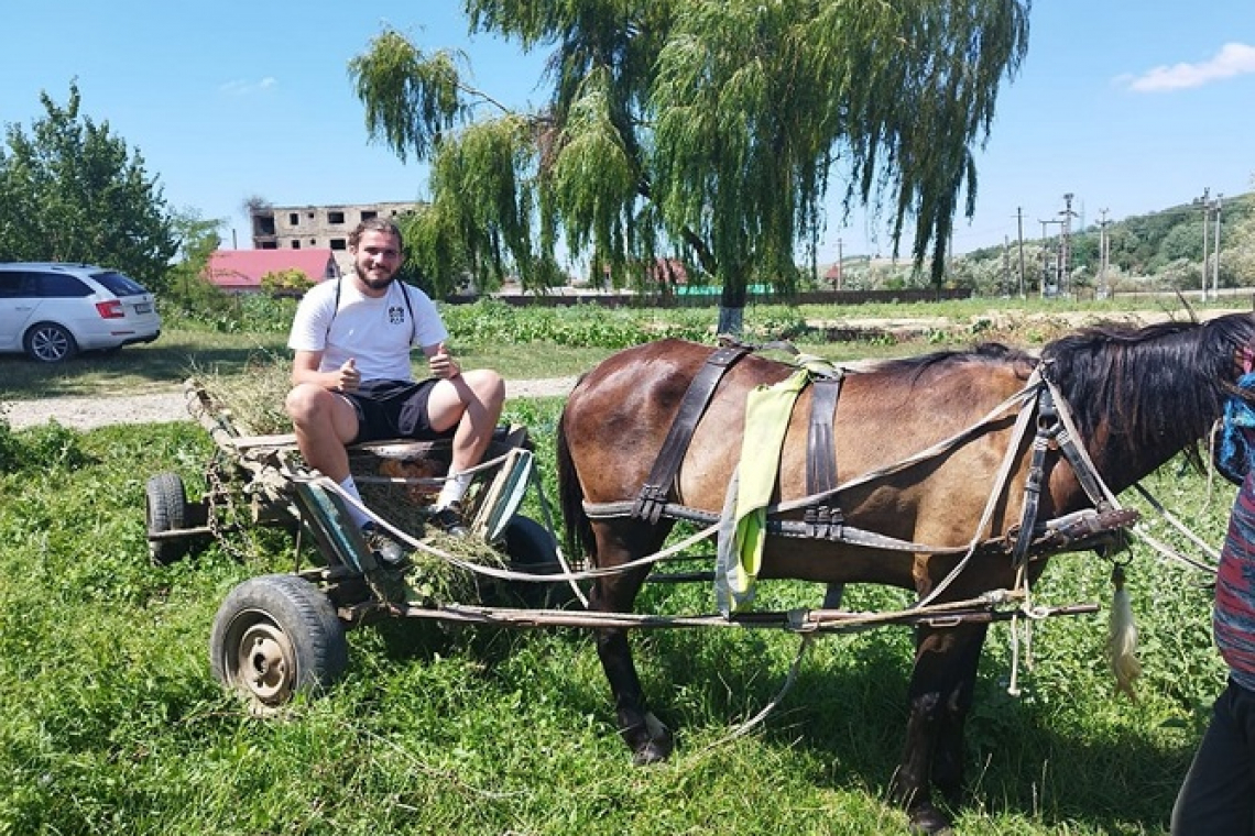 De pe teren direct în căruță!