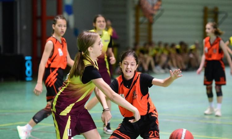 Basketball Cup Vaslui aduce la start tinerele talente! Trei zile de baschet în cadrul Vaslui Sport Festival