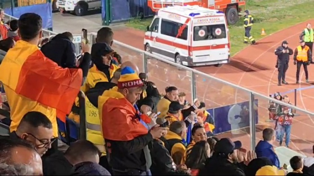 tricolortrei