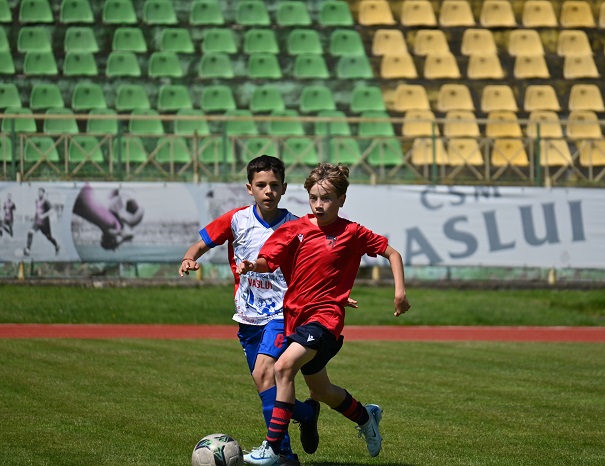 turneuvs